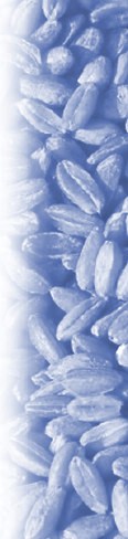 Bulk solids, powder, solids, dry matter, granular material, bulk material...